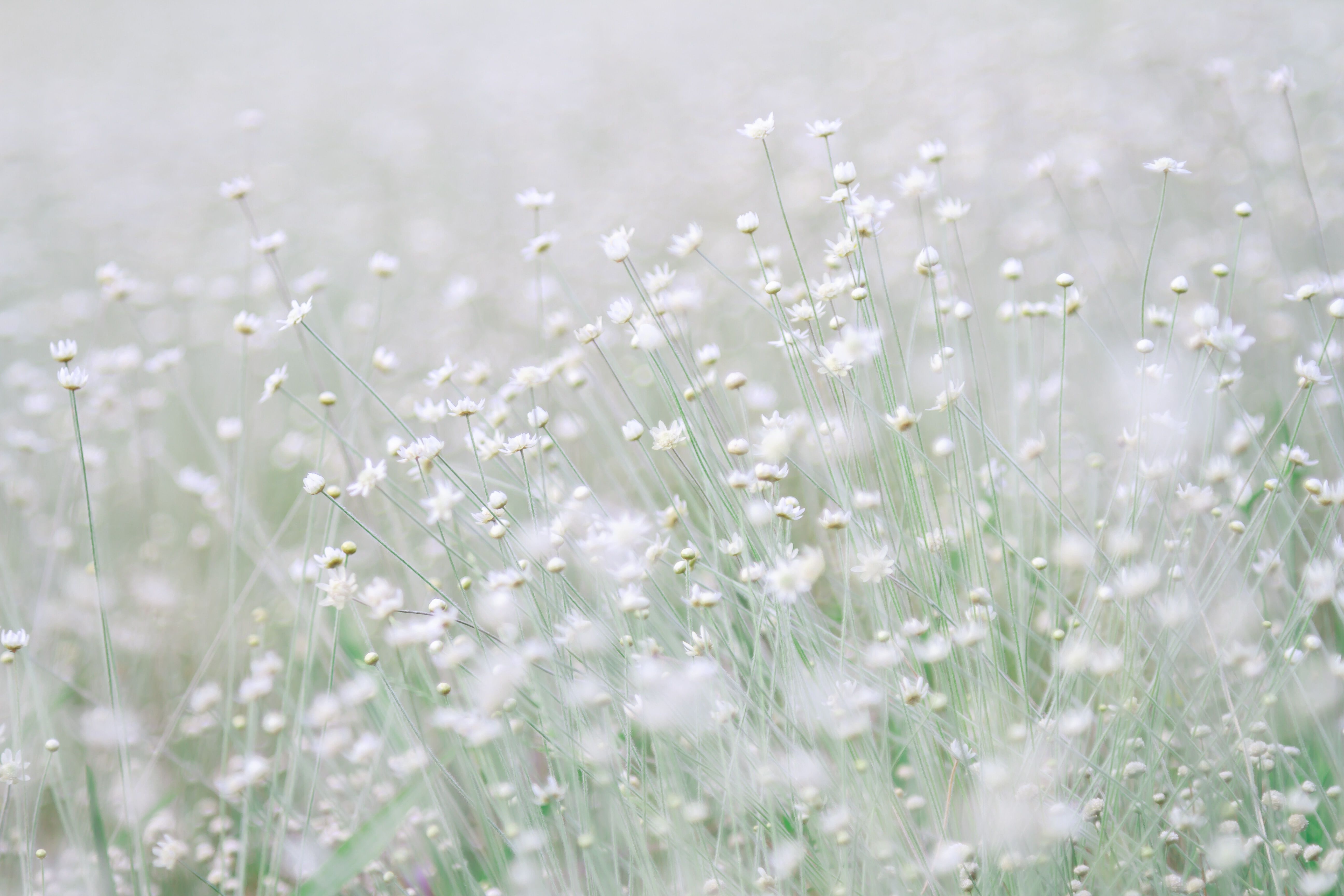 /Magazine/2020/Jing/2020-03-07_Sleep Playlist.jpg